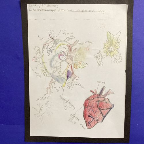 Spring 2 Heartbeat Photos